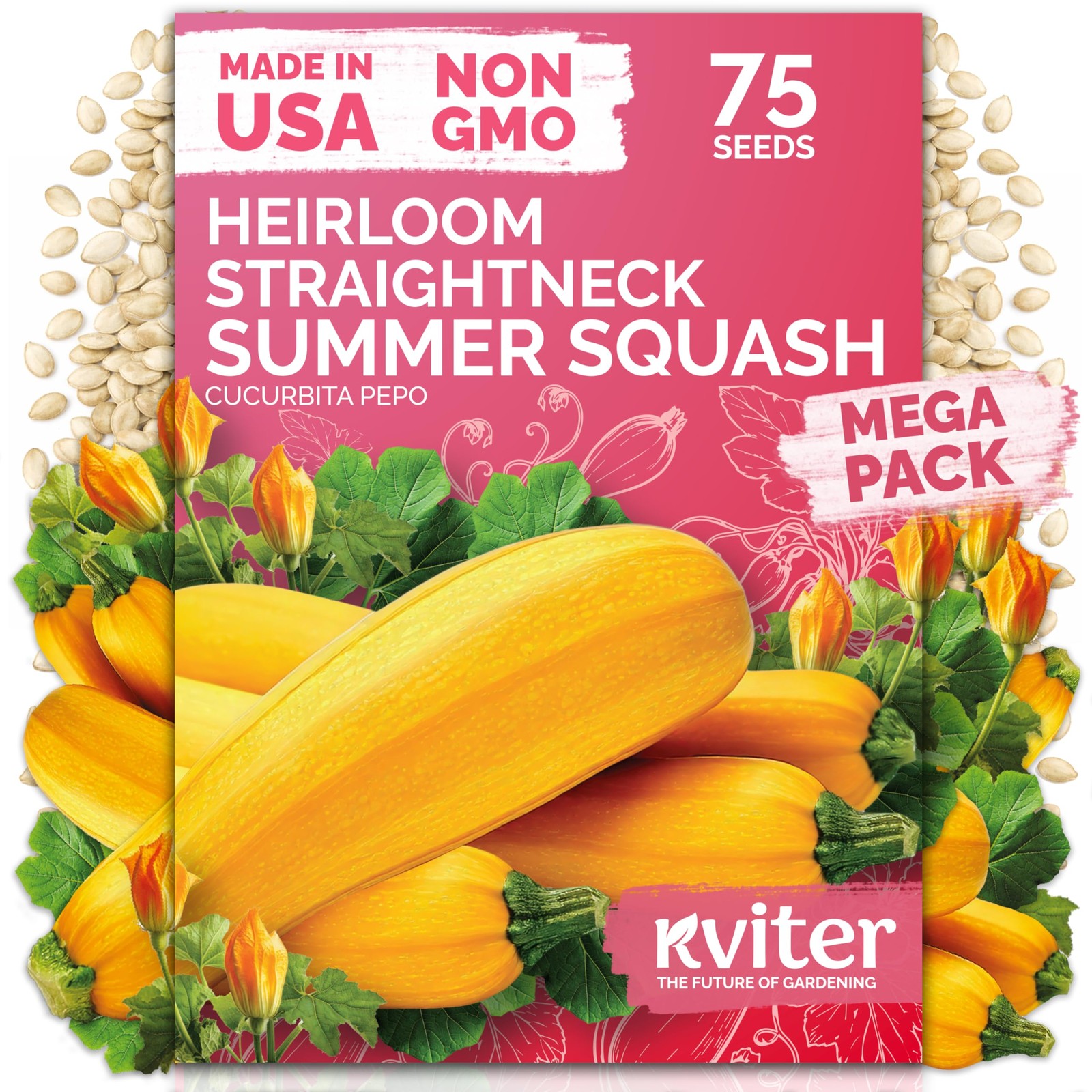 KVITER 75 Straight Neck Squash Seeds (Cucurbita Pepo)