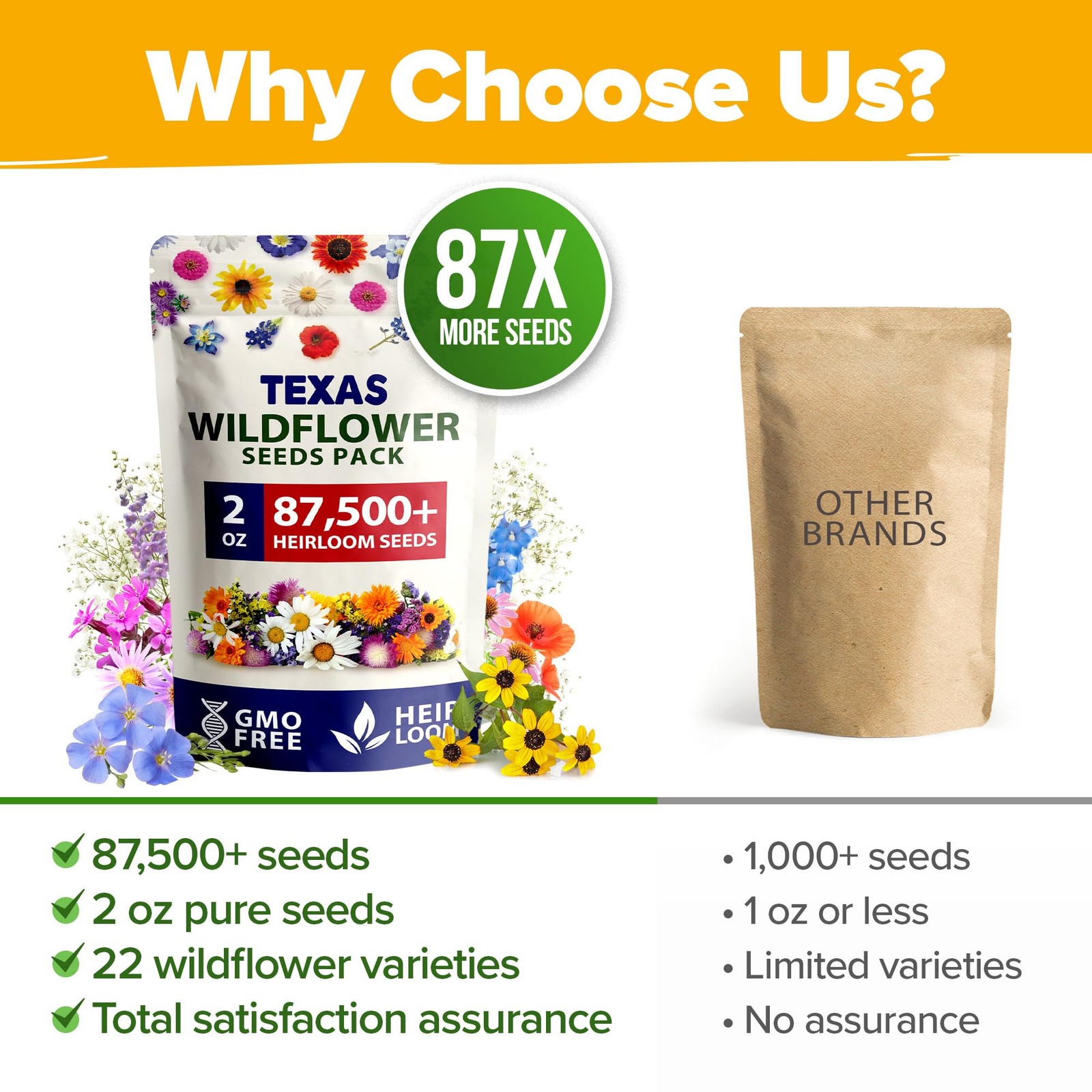 HOME GROWN Texas Wildflower Seeds 87,500+ Non-GMO Perennial 2 oz, Multi