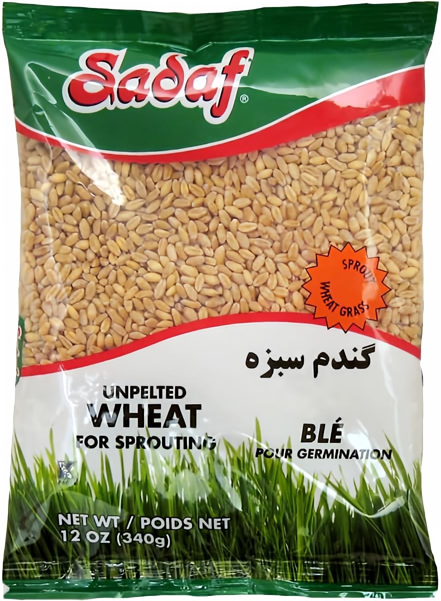 Unpelted Sprouting Wheat – 12 oz for Healthy Cooking & Celebration