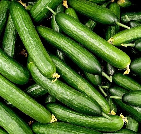 Slicer Cucumber Seeds for Planting – Marketmore Cucumbers (50 Seeds)