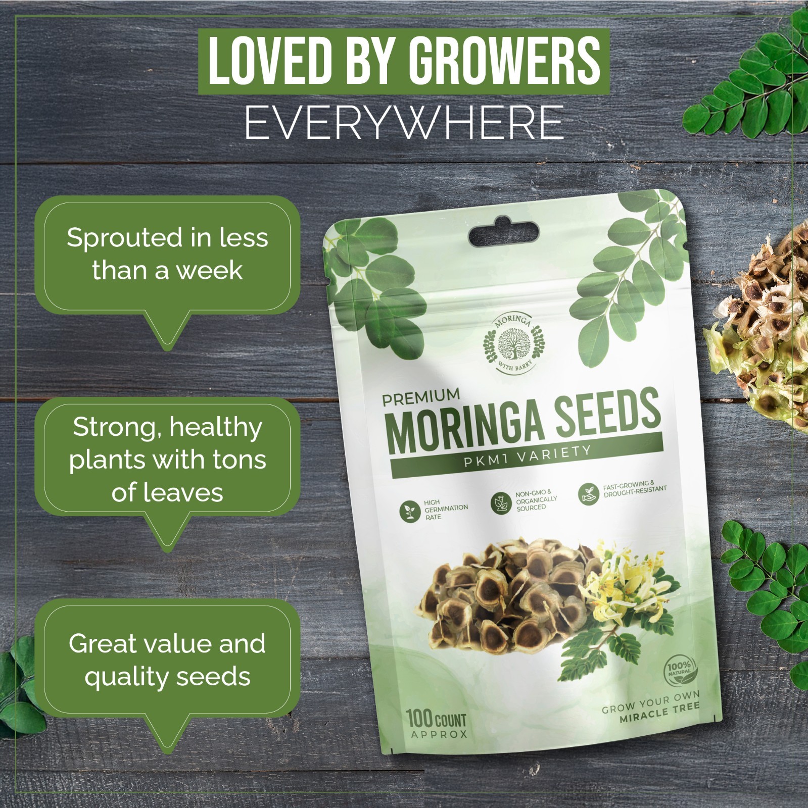 Moringa Seeds 100 Count High-quality NON-GMO Organically Grown Pkm1 Variety