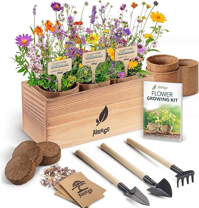 Wildflower Seed Mix Growing Kit Indoor Perennial Annual Burlap Planters Soil