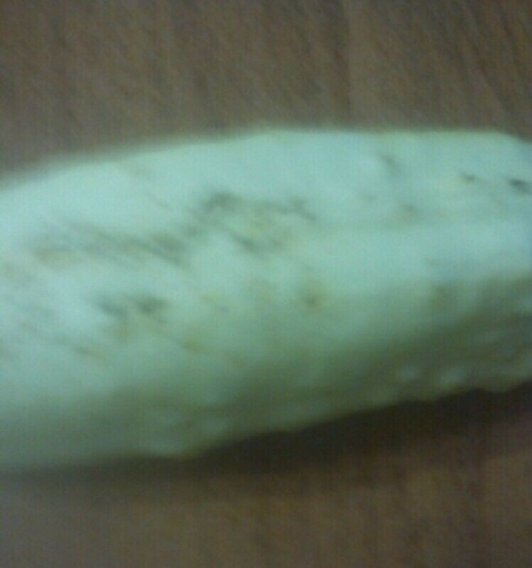 20pcs White Cucumber Seeds Cucumis Sativus Vegetable Fruit Home Garden Plant