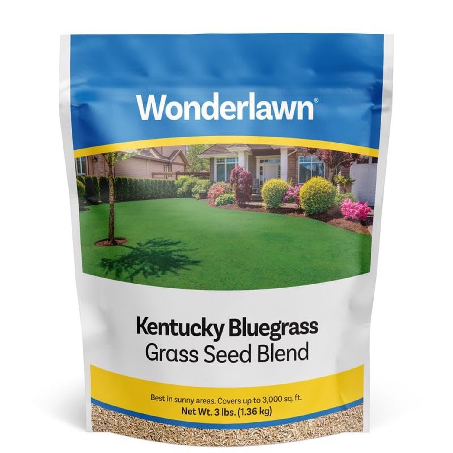 BARENBRUG USA TVKBG7 TV 7 lb Kentucky Bluegrass Seed