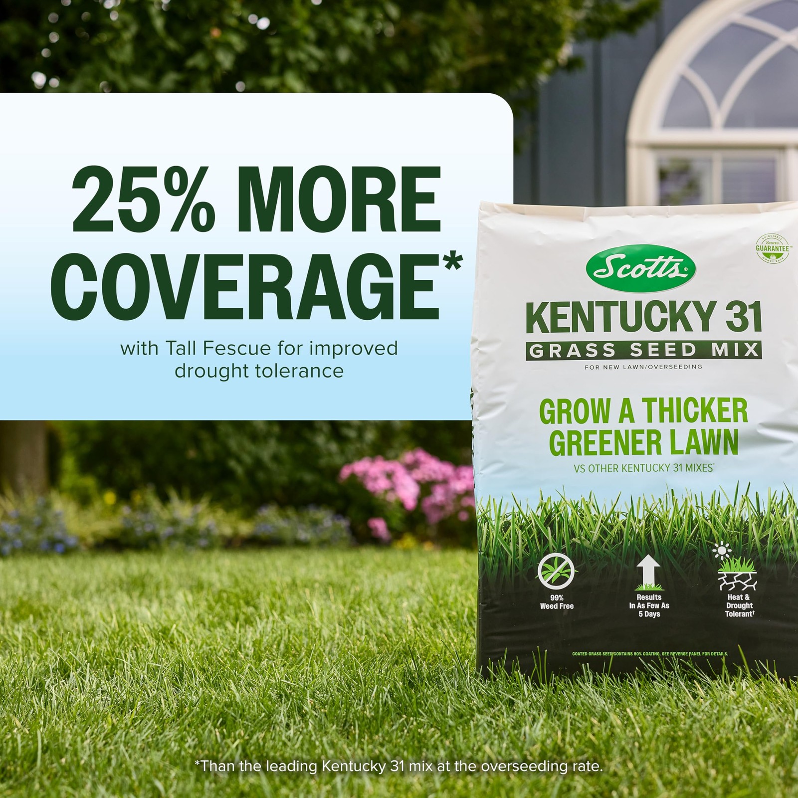 Scotts Kentucky 31 Grass Seed Mix For Lawns Or Overseeding Grows Thicker And
