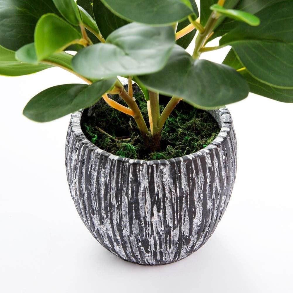 Evergreen Plastic Fiddle Leaf Fig Plant for Aesthetic Room Decor and Accessories