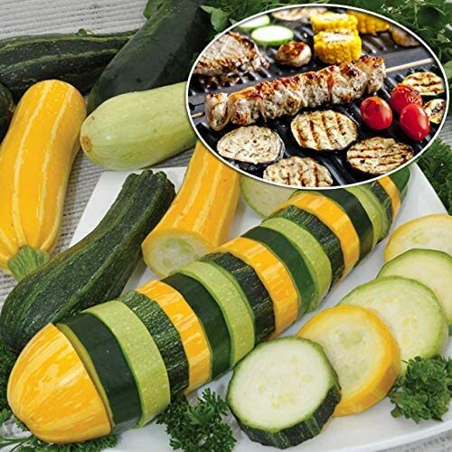 Cocozelle or Grey or Yellow Zucchini Summer Squash Seeds Italian Non-GMO