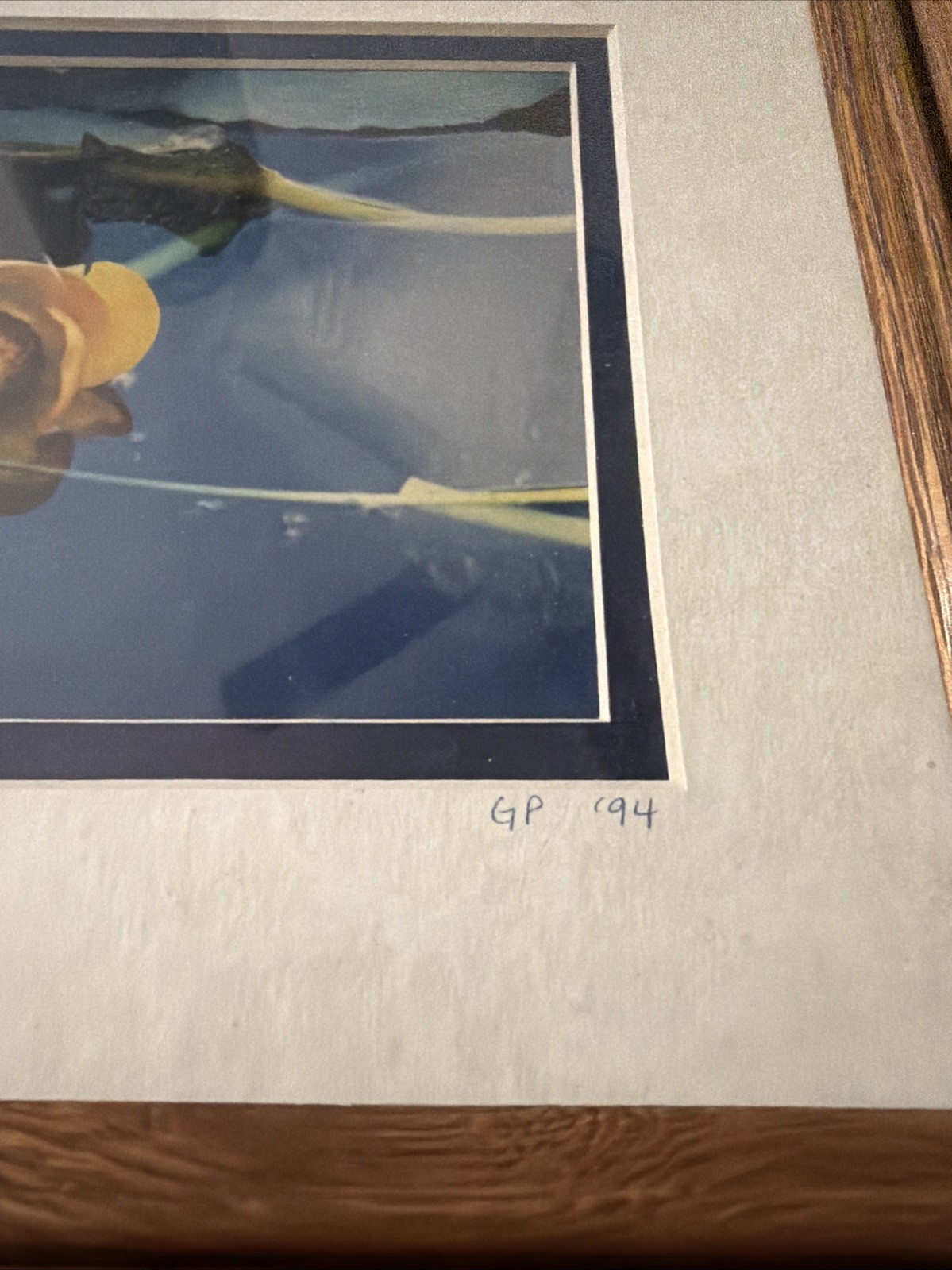 Yellow Water Lily Pad – Alaska GP 94