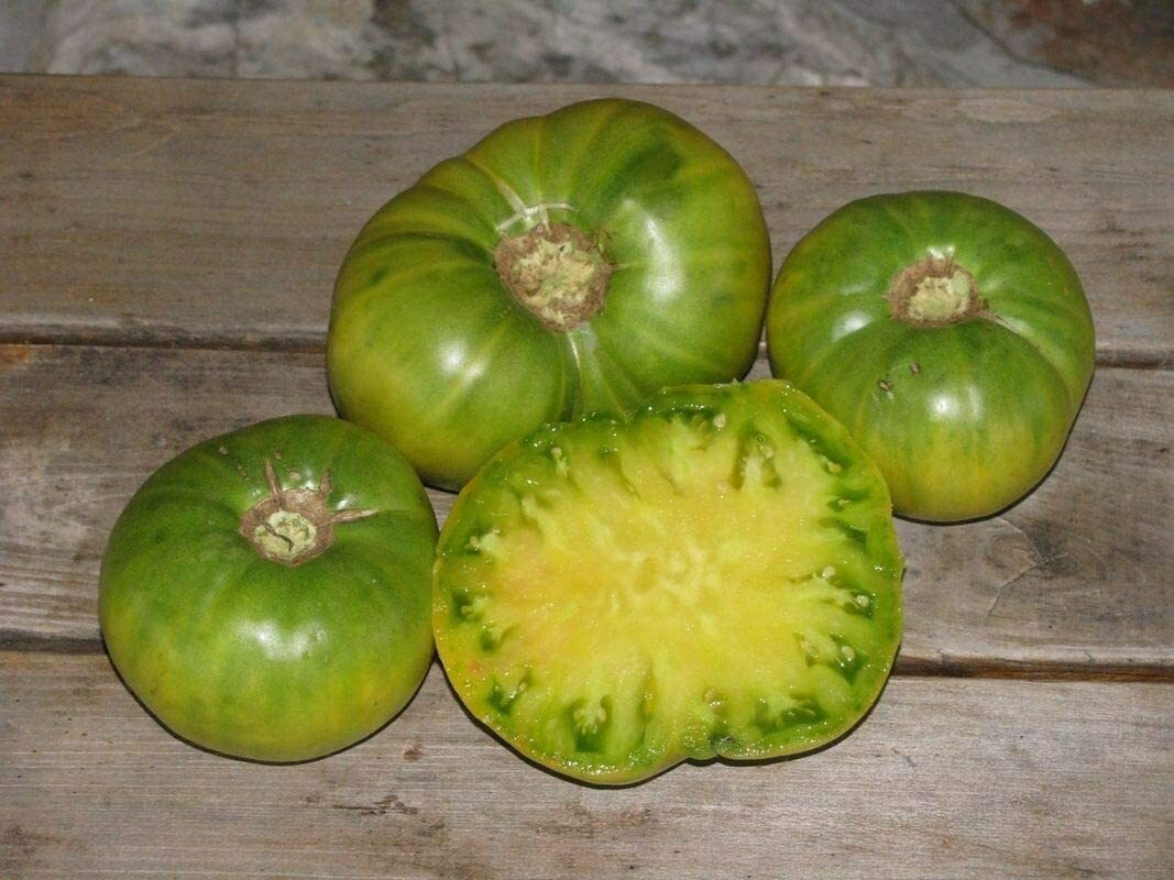 50 AUNT RUBY GERMAN GREEN TOMATO SEEDS FRESH HARVEST FOR 2024 GARDENS