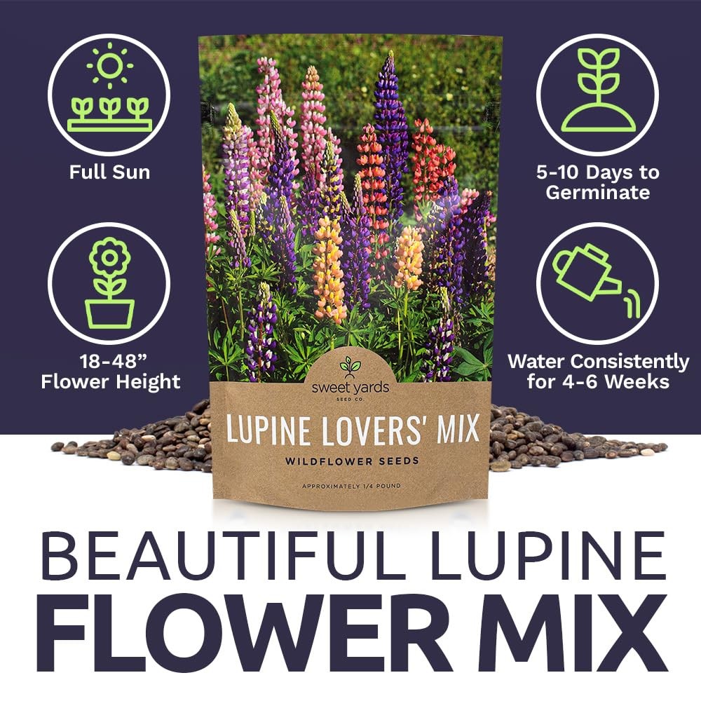 Bulk Lupine Mix Wildflower Seeds 1/4 Pound Bag – Over 4,500 Untreated Annual …