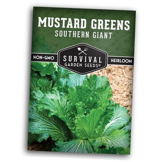 Southern Giant Mustard Green Seeds for Planting – Heirloom Non-GMO Spicy 1