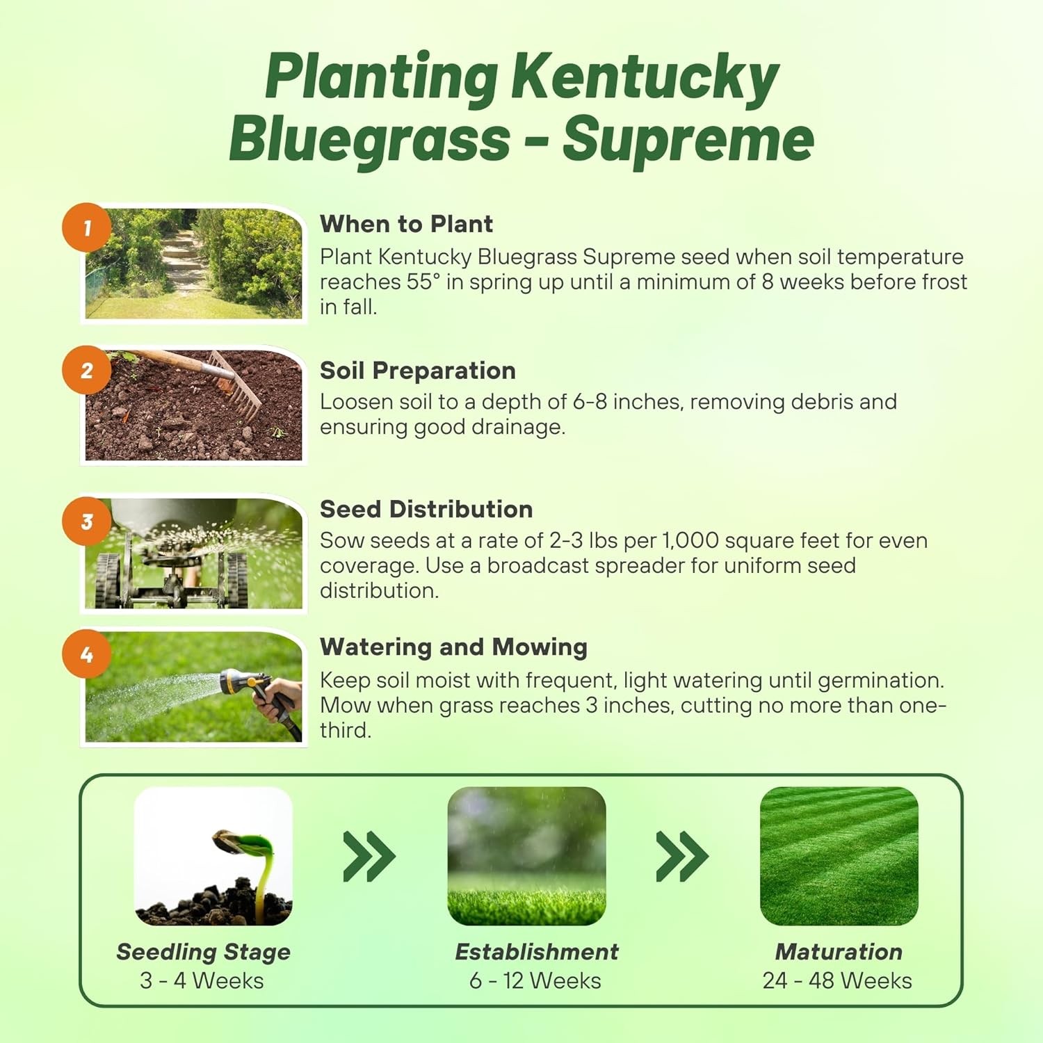 10 LBS – OptiGrowth Coated Kentucky Blue Grass Seed – Kentucky Bluegrass Seed