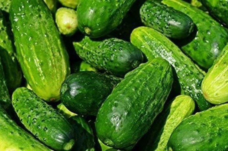 50 Straight Eight Cucumber Seeds – Heirloom Non-GMO Grown Vegetable Seeds fo…