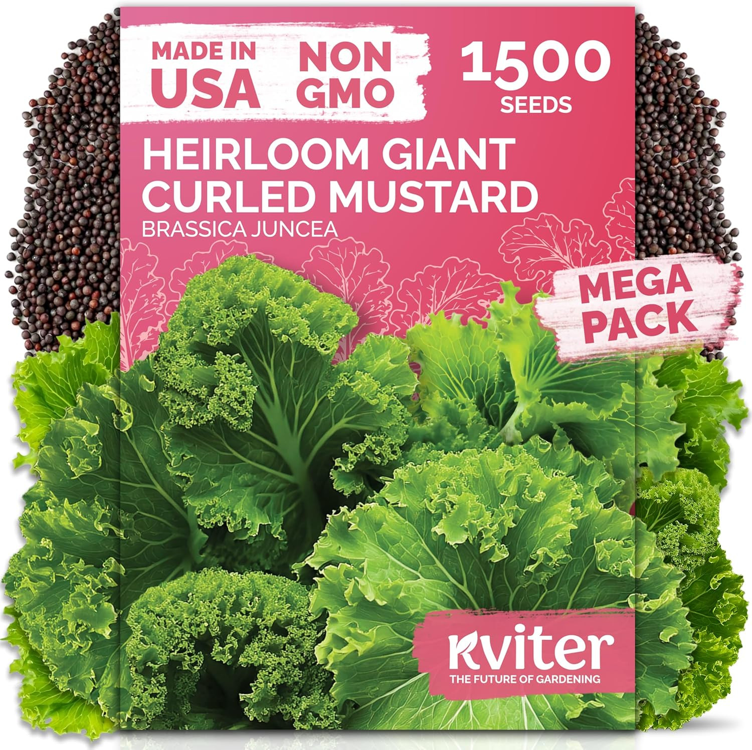 1500 Southern Giant Curly Mustard Seeds (Brassica Juncea) – Non GMO Heirloom Fas