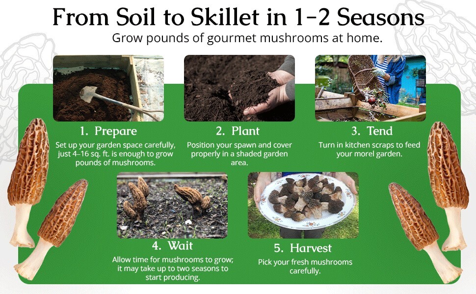Morel Habitat Kit ® : Backyard Morel Mushroom Grow Kit – S MHK
