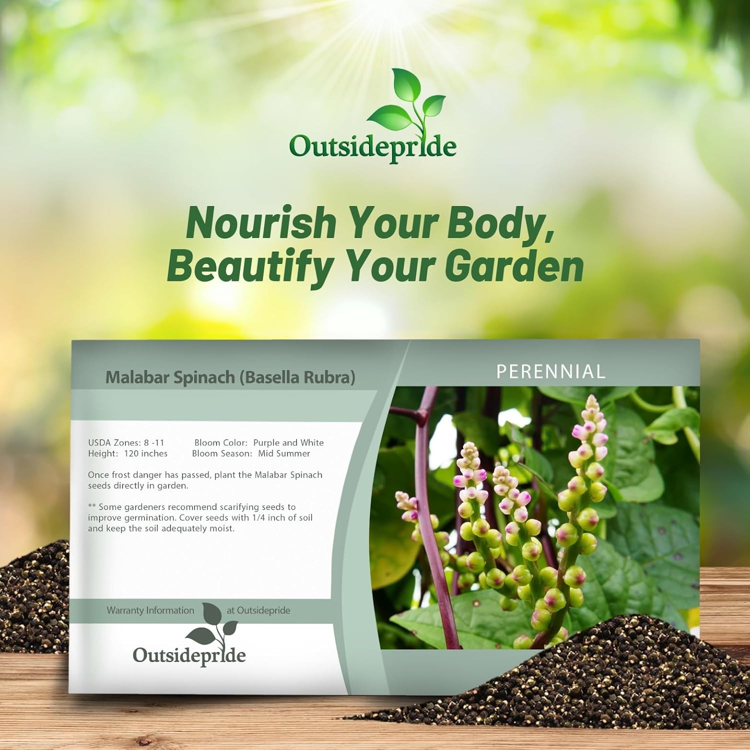 200 Seeds Malabar Spinach Seeds For Planting – Climbing Spinach Vegetable Seed