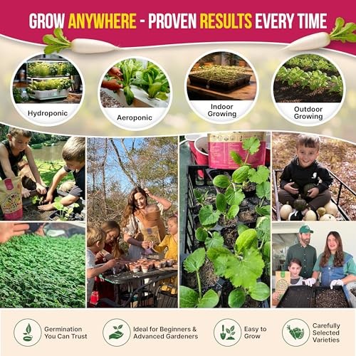 for Indoor & Outdoors 2400+ Heirloom Non-GMO 12 Radish Seeds Variety Pack