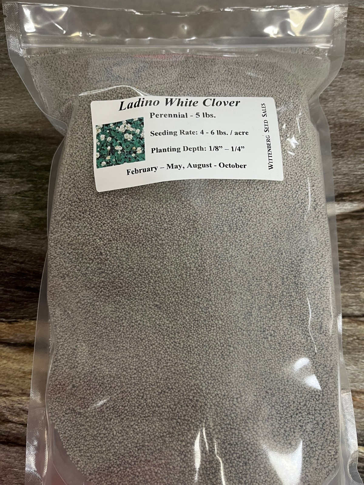 5 lbs Ladino White Clover Seed – Deer food Plot / Wildlife Seed