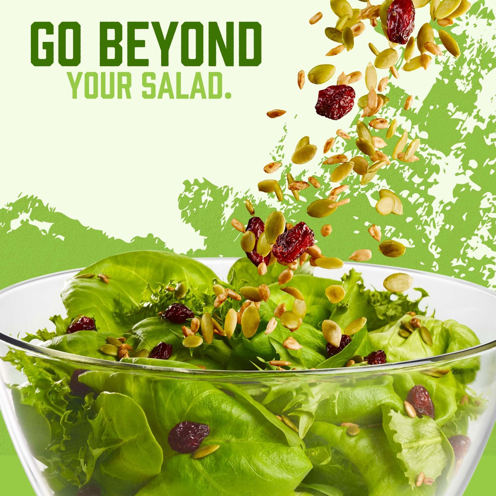 Organic Salad Topper 2 Pound Pack with Cranberries Seeds for Salads and Snacks