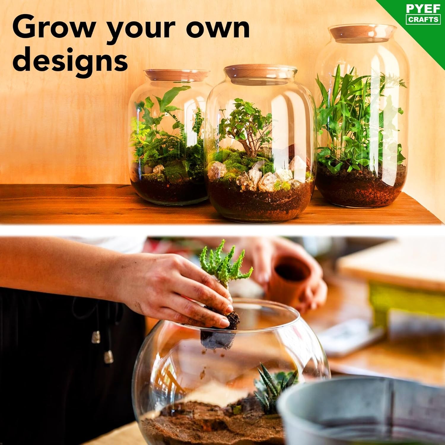 Terrarium Kit, Succulents & Indoor Plants Set DIY | Starter Pack for Any Plant –