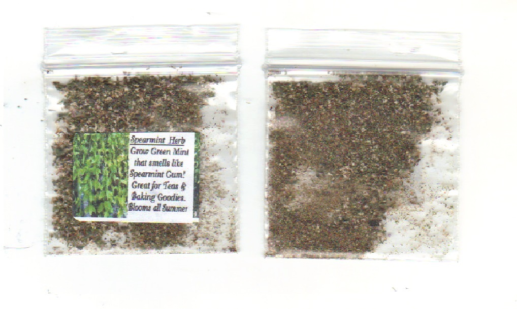 * Green Spearmint * 100 + SEEDS USA Home Grown