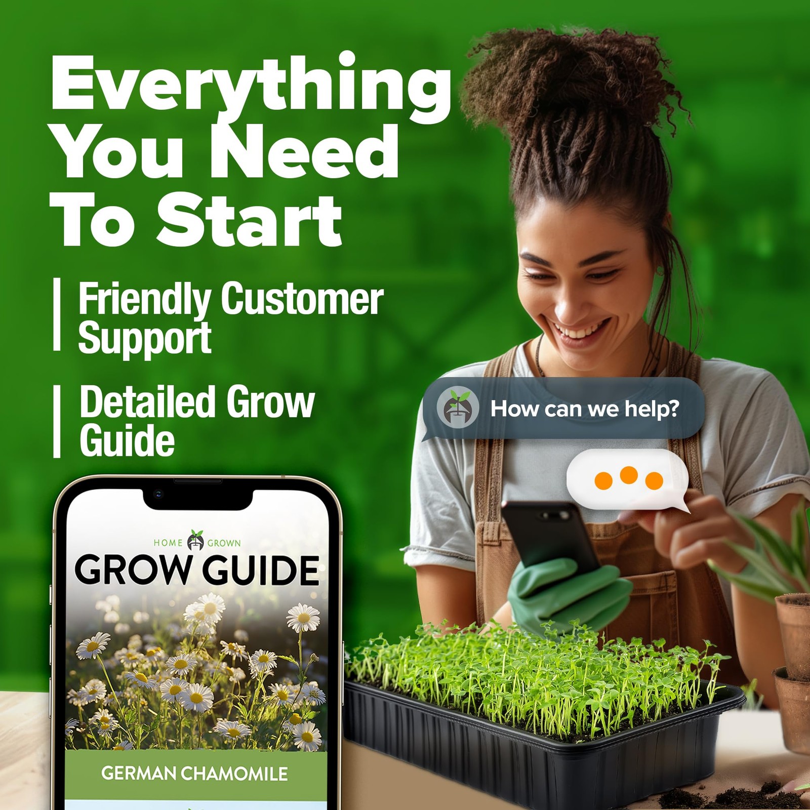 German Chamomile Seed Pack 2,280 Non GMO Heirloom Seeds for Planting for Sust…