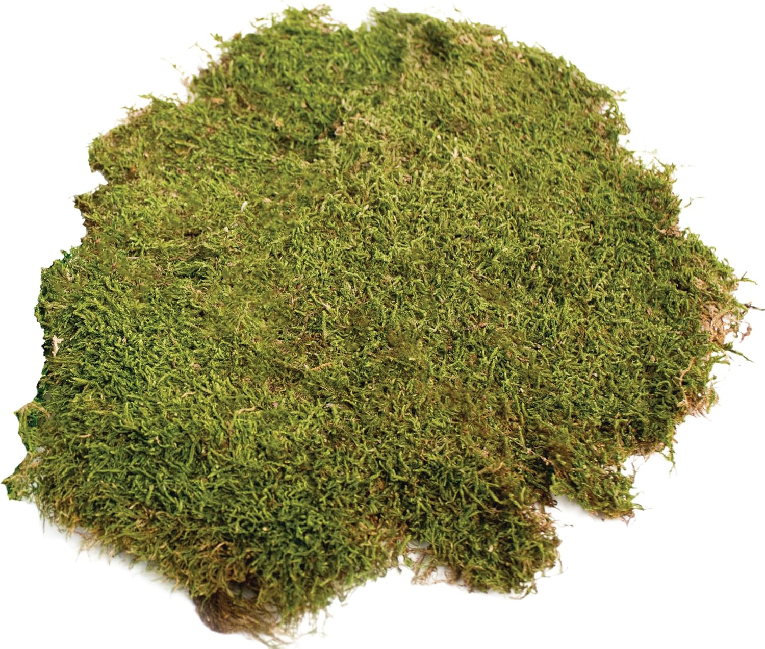 (21588) Sheet Moss Preserved, Natural, 5 Pounds (20-24 Sq. Ft.)