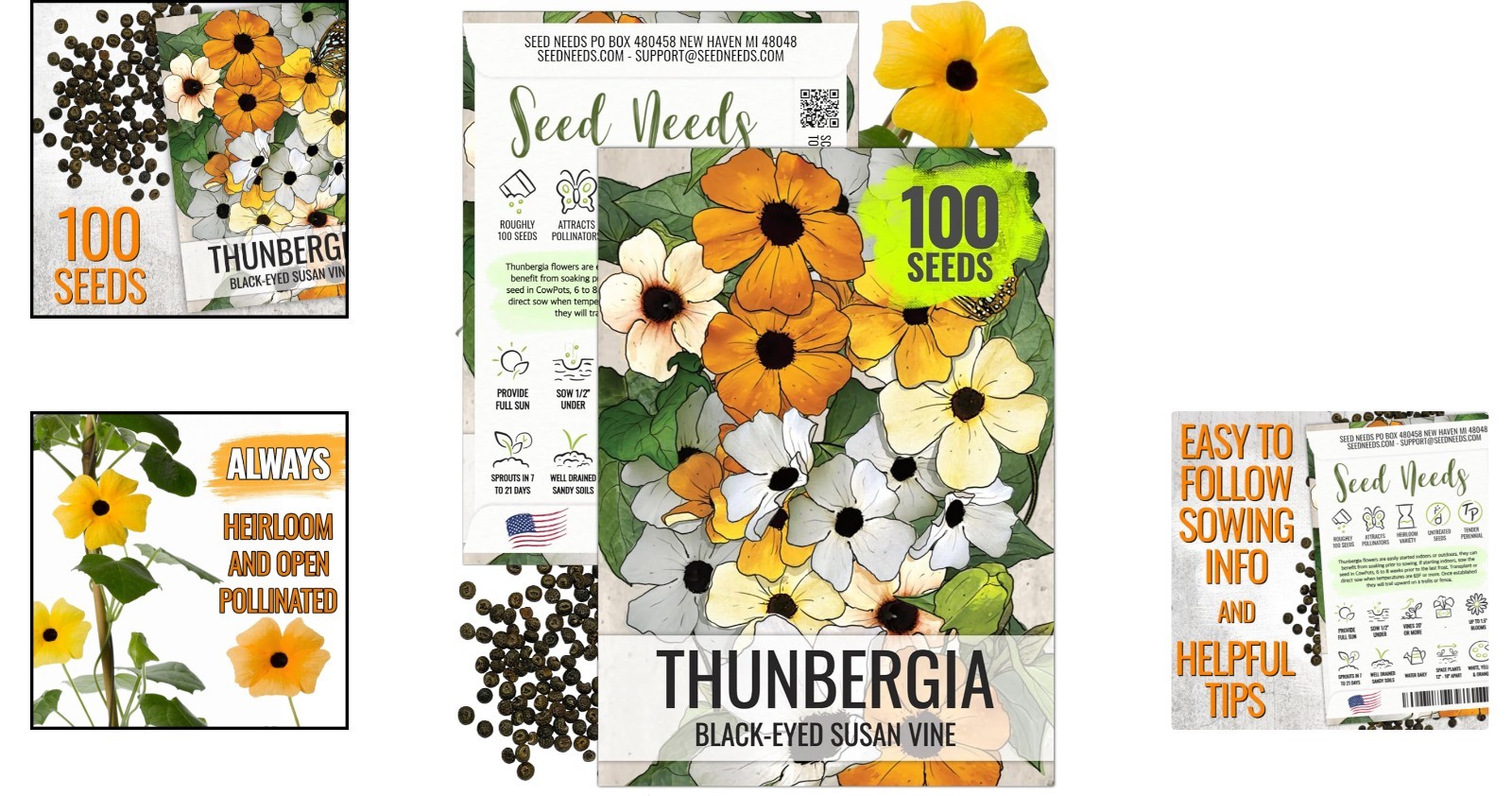 Create Natural Privacy with 100 Black-Eyed Susan Vine Seeds – Butterfly Friendly