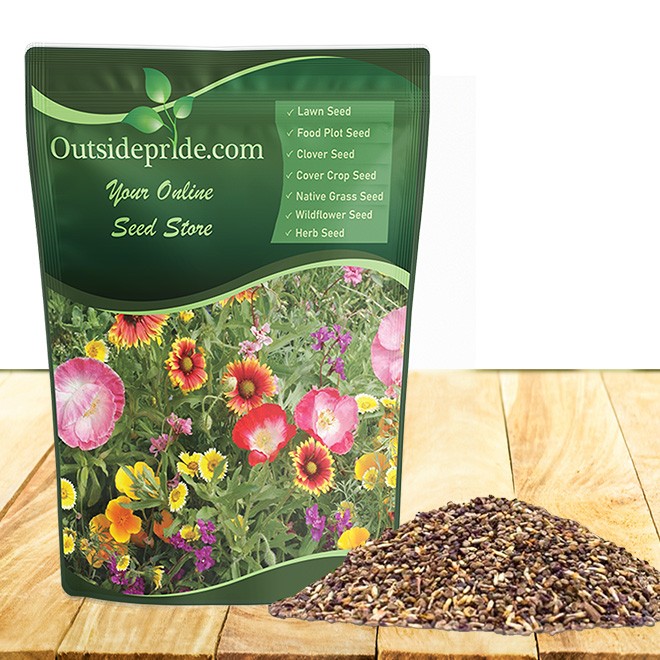 5 LBS California wild flower seed from Outsidepride.