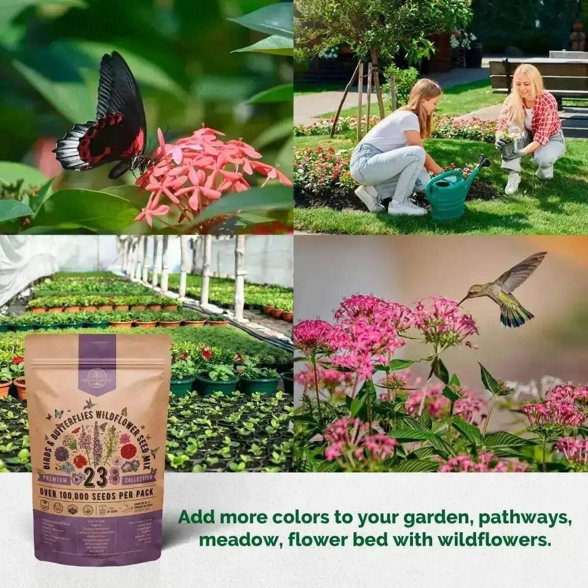 23 Birds & Butterflies Wildflower Seeds Mix