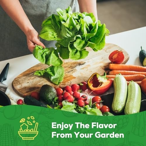 10 Vegetable Seeds Pack – Heirloom – Basil, Snap Pea, Broccoli, Bean, Jalapeo Pe