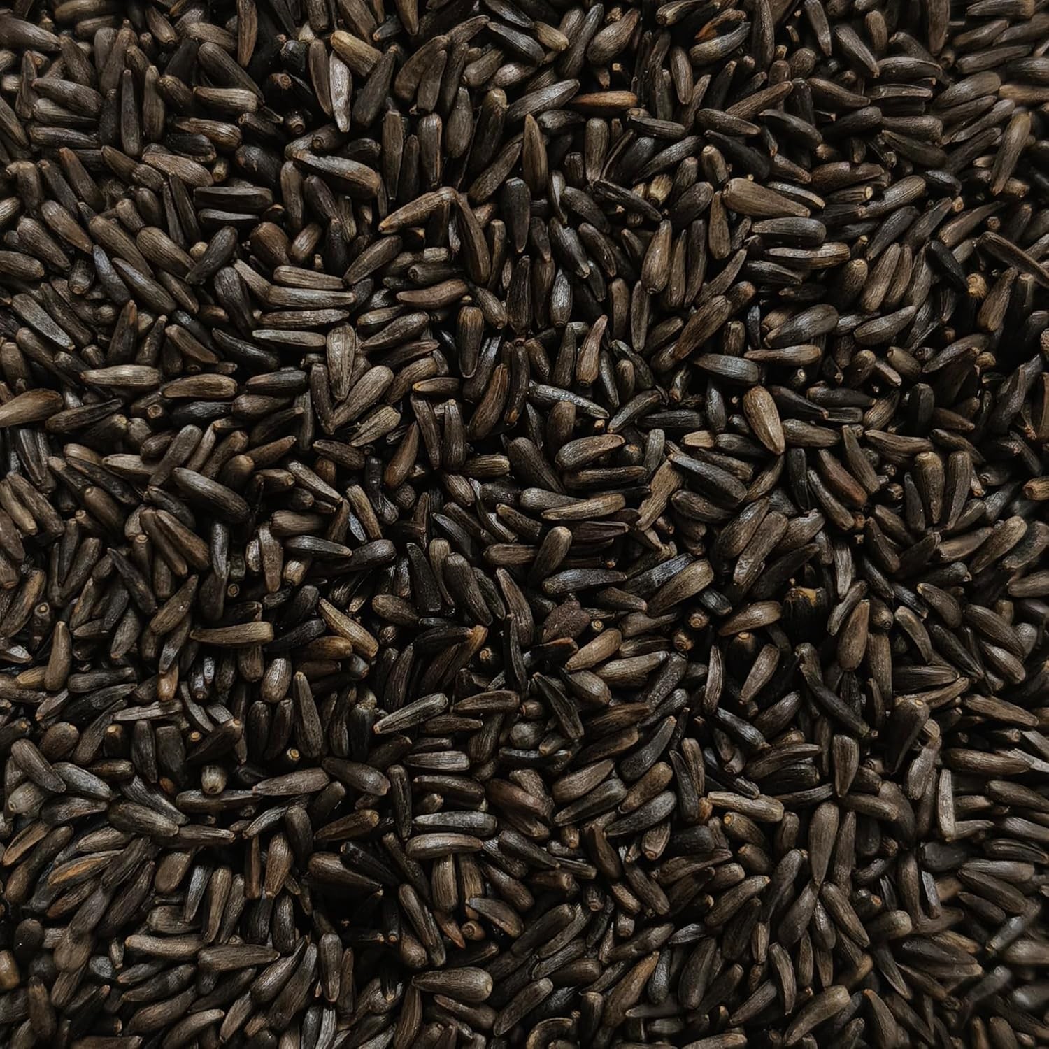 Happy Wings Nyjer/Thistle Seeds Wild Bird Food – 10 Pounds I No Grow Seed I Bird