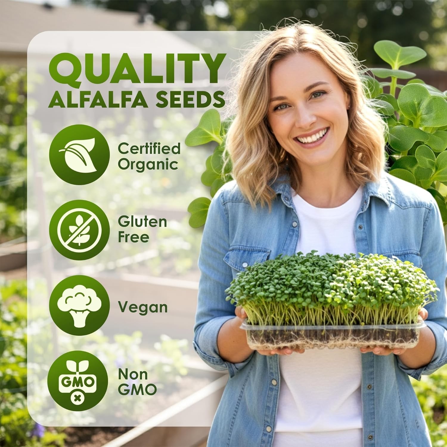 Alfalfa Seeds – Non-GMO Organic Sprout for Growing & Planting – Resealable B…