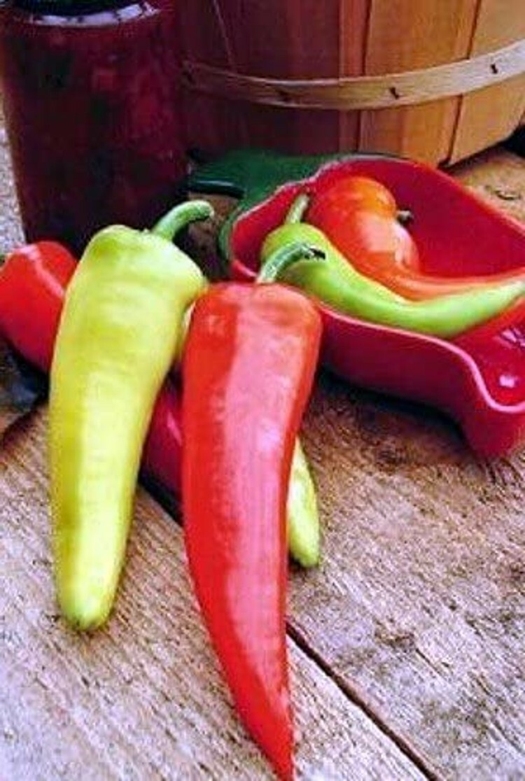 Pepper Long Medium Hot Dante’s Hot Mild Colorful Green To Orange To Red 20 Seeds