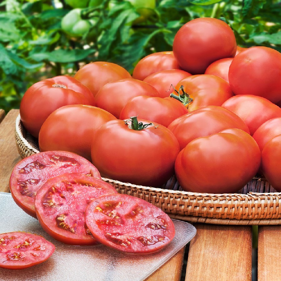 DELICIOUS RED Floradade tomato seeds non-gmo heirloom open pollinated EZ GRO!