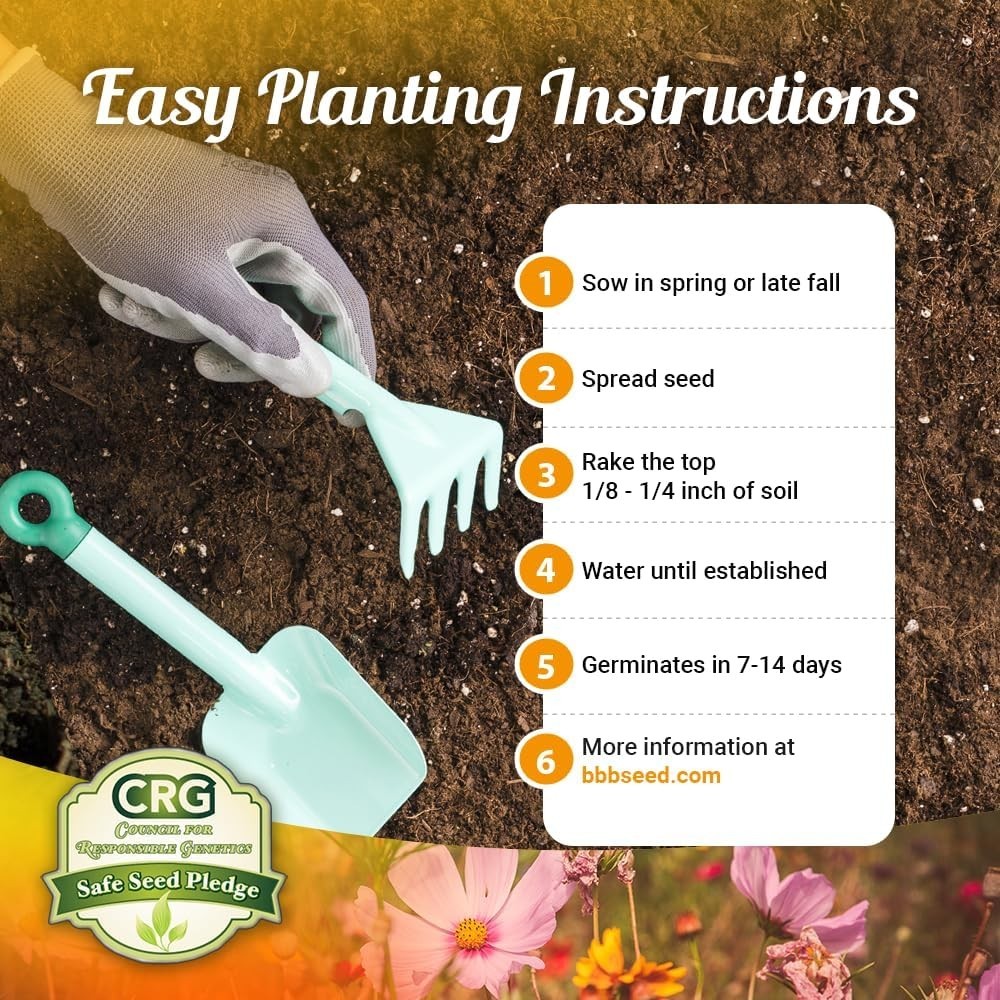 Drought Resistant Wildflower – 1Oz, Open-Pollinated Bulk Flower Seed Mix for Be