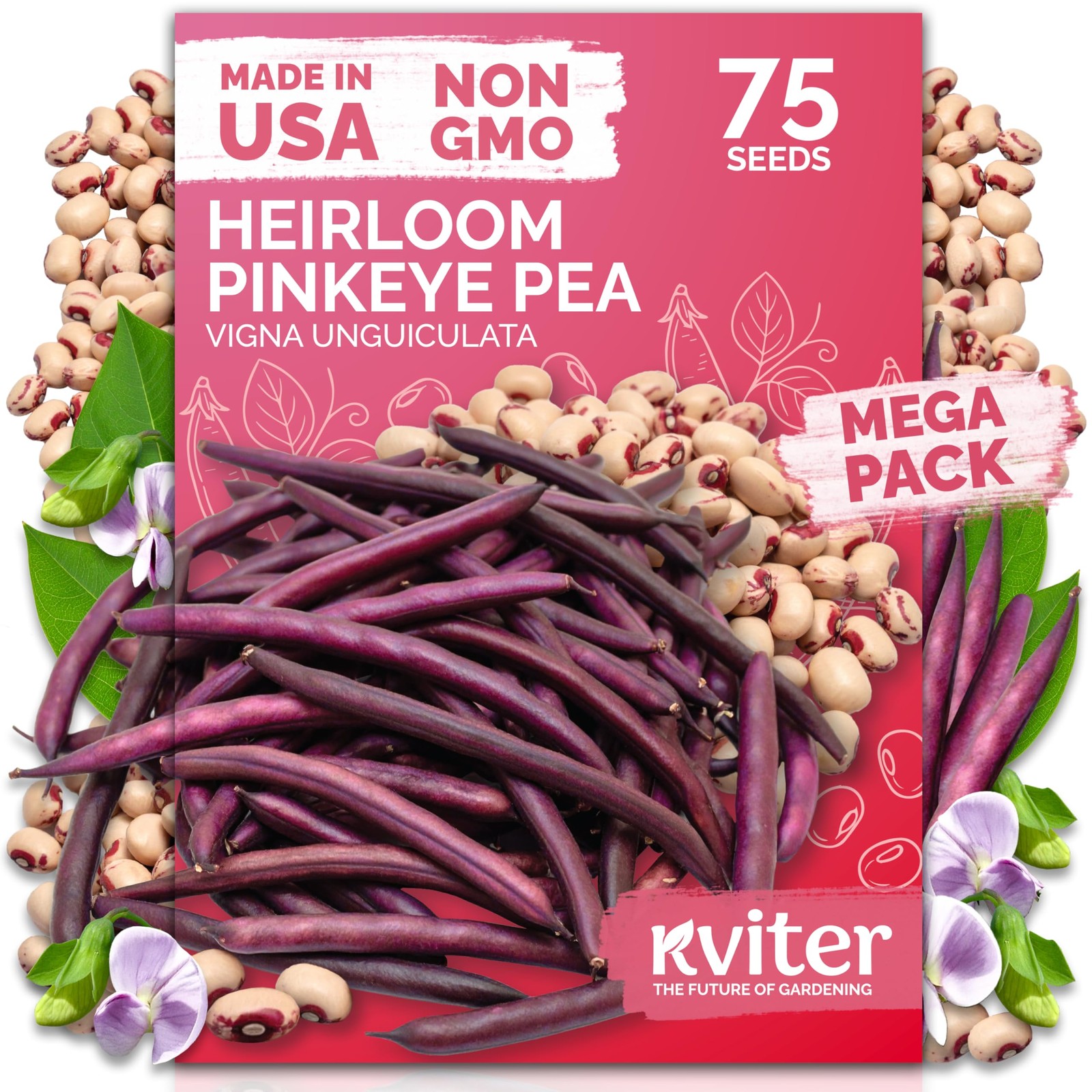KVITER 75 Top Pick Pinkeye Cow Pea seeds for Planting (Vigna unguiculata)