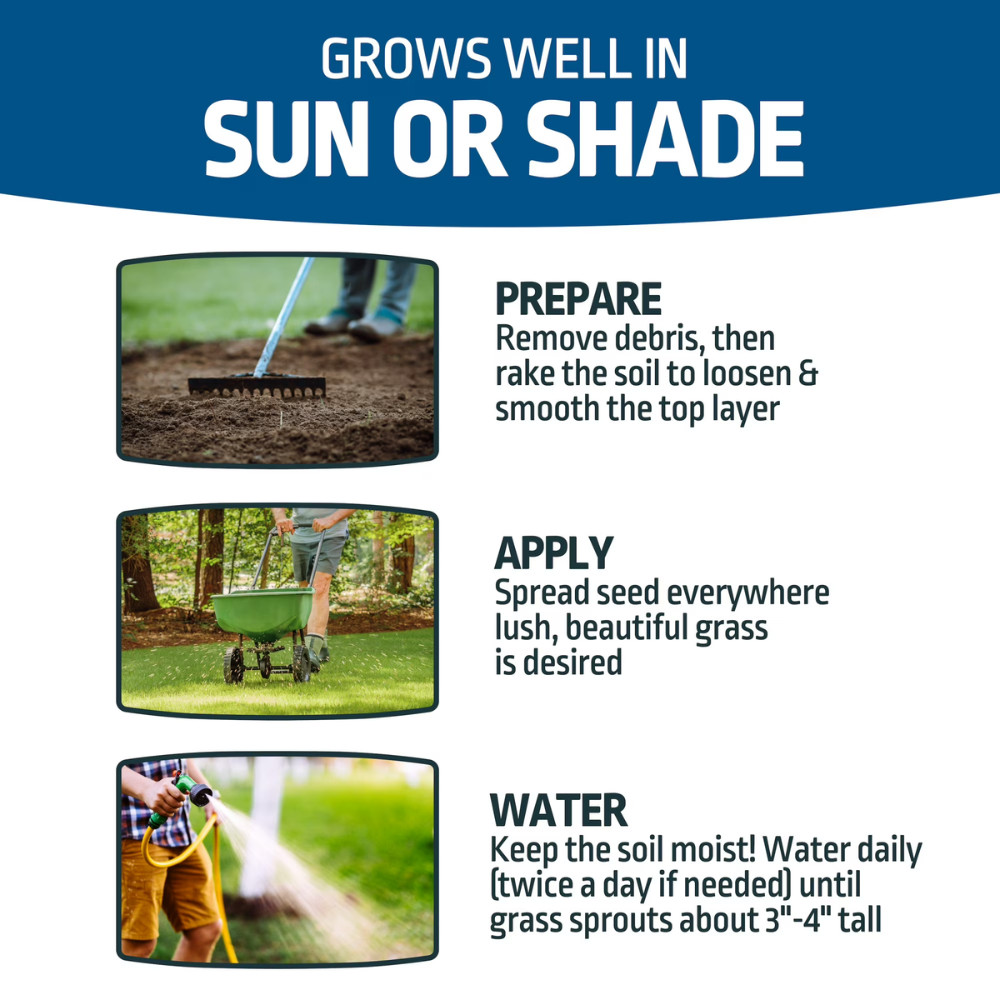 Expert Gardener Northern Sun & Shade Grass Seed Mix, 20 lb Bag, Fast Growth, New