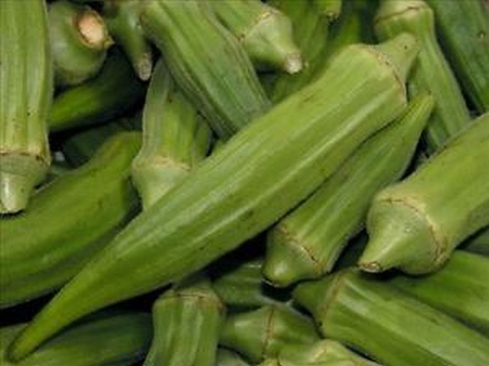 Okra Seed: Clemson Spineless Okra Seed Fresh Seed FREE Shipping