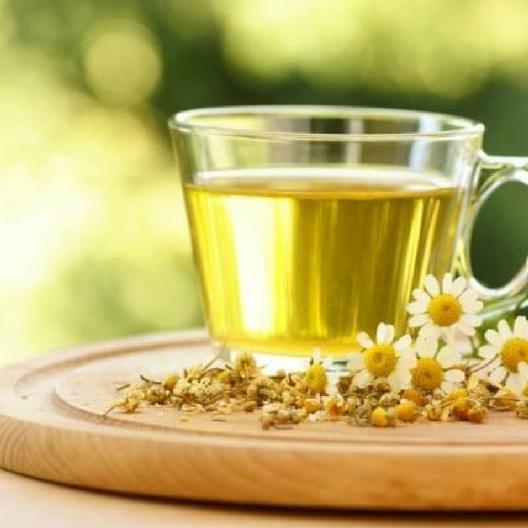 Chamomile GERMAN Herb Groundcover Medicinal Tea Fragrant Non-GMO 500 Seeds