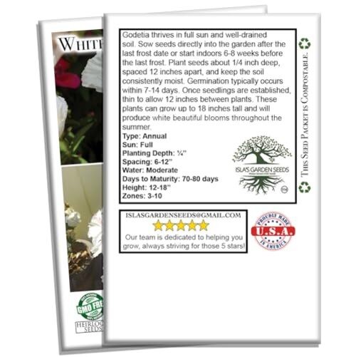 White Godetia Flower Seeds (Clarkia Amoena) – 1500+ Non-GMO Heirloom Seeds, by