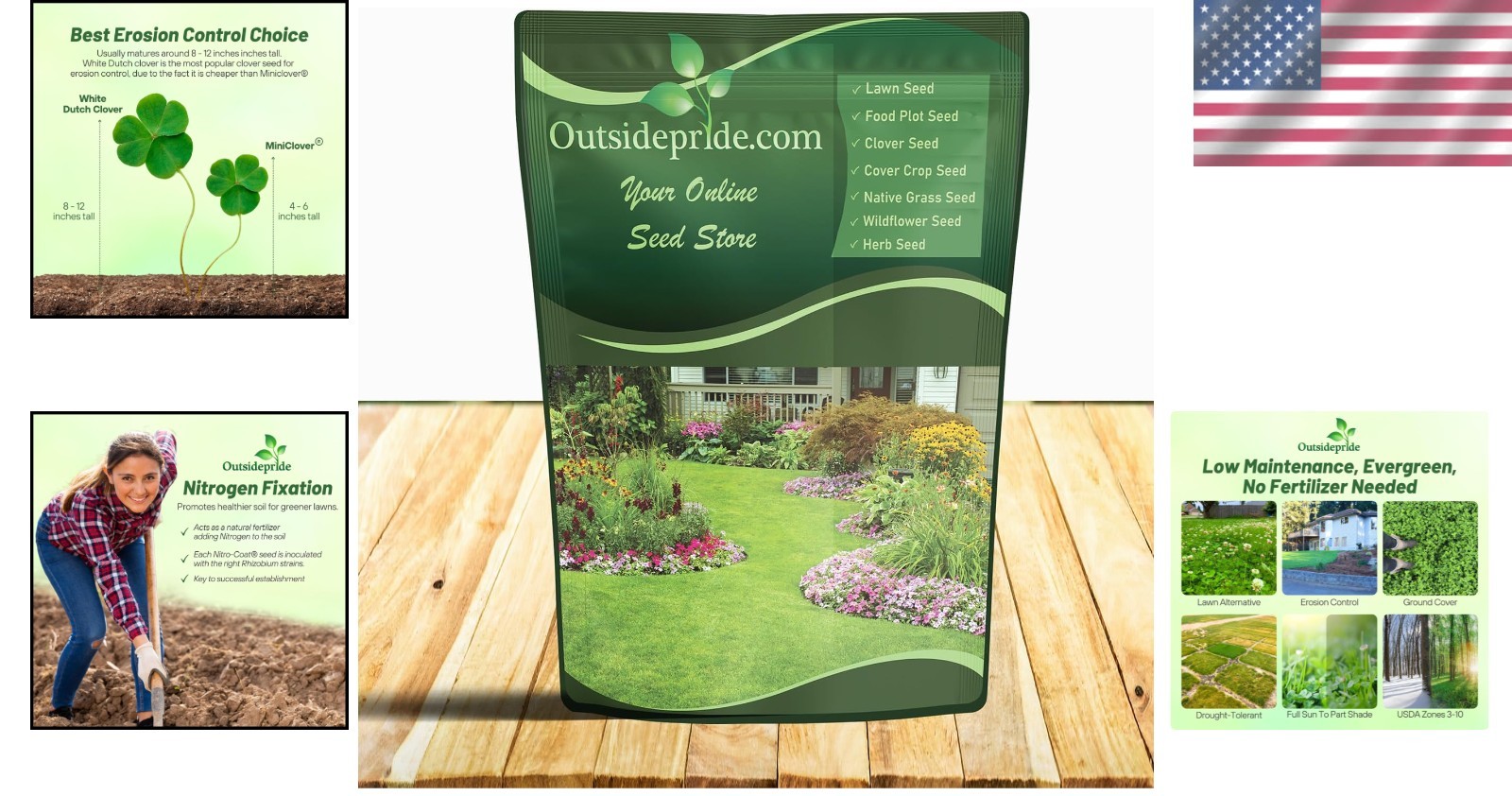 1 lb White Dutch Clover Seeds – Nitrocoated & GMO Free for Erosion Control