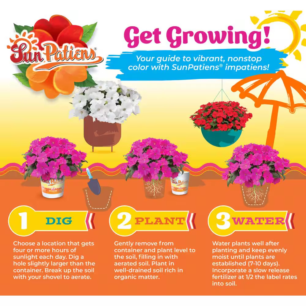 2.5 In. Compact Hot Pink Sunpatiens Impatiens Outdoor Annual Plant with Pink Flo