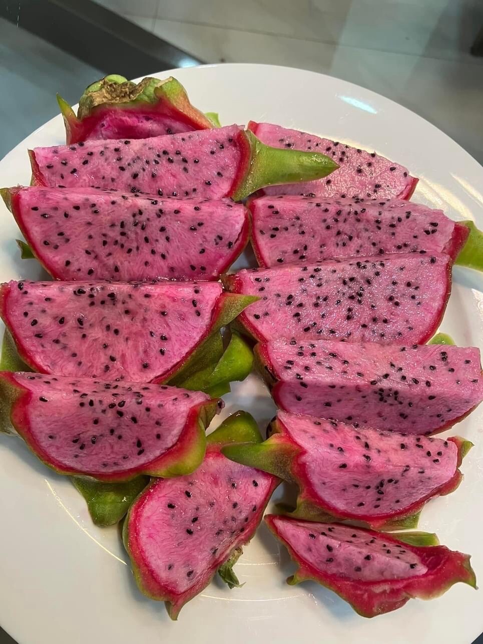 23 Dragon Fruit cuttings 8-12 inches long check The Description ￼ ￼