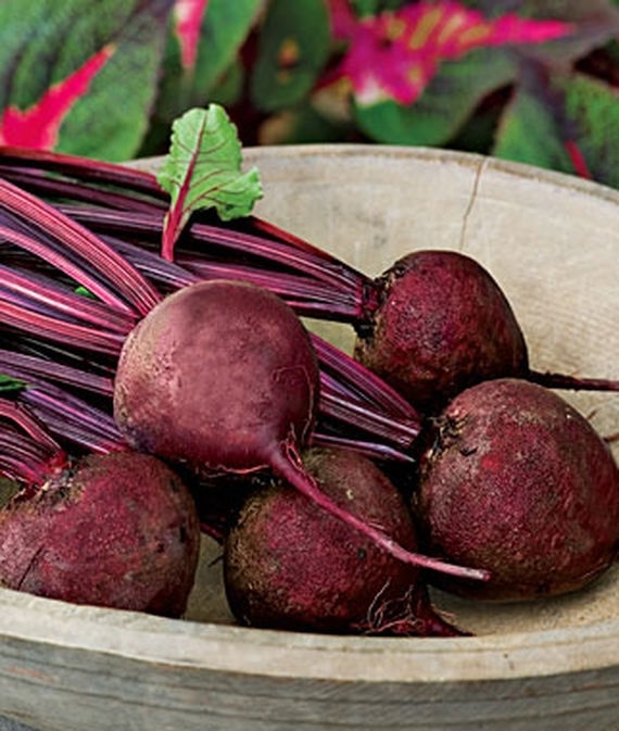 Beets Detroit Dark Red Seed – 1 Packet