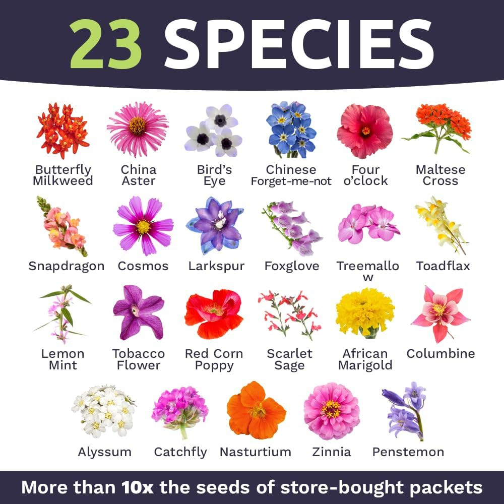 Wildflower Seeds Butterfly and Humming Bird Mix – Large 1 Ounce Packet 7,500+ Se