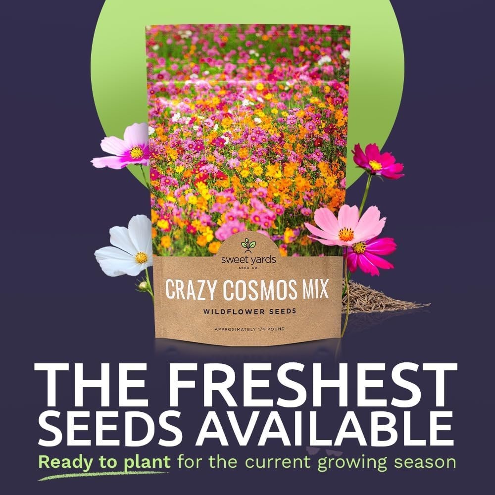 Colorful Cosmos Wildflower Blend – Quarter Pound
