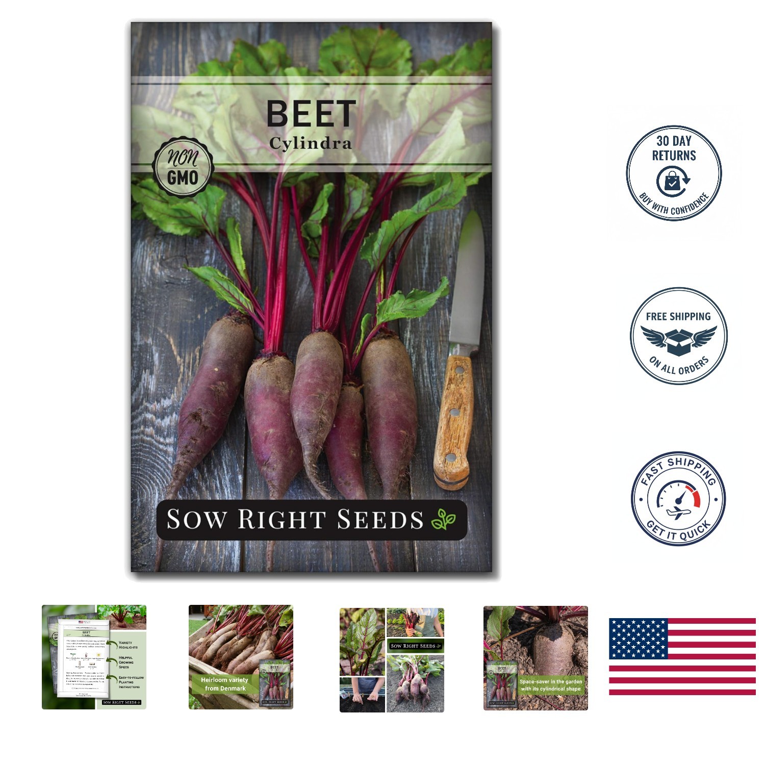 Cylindra Beet Seeds – Heirloom Seeds with Planting Instructions for Home Gardens
