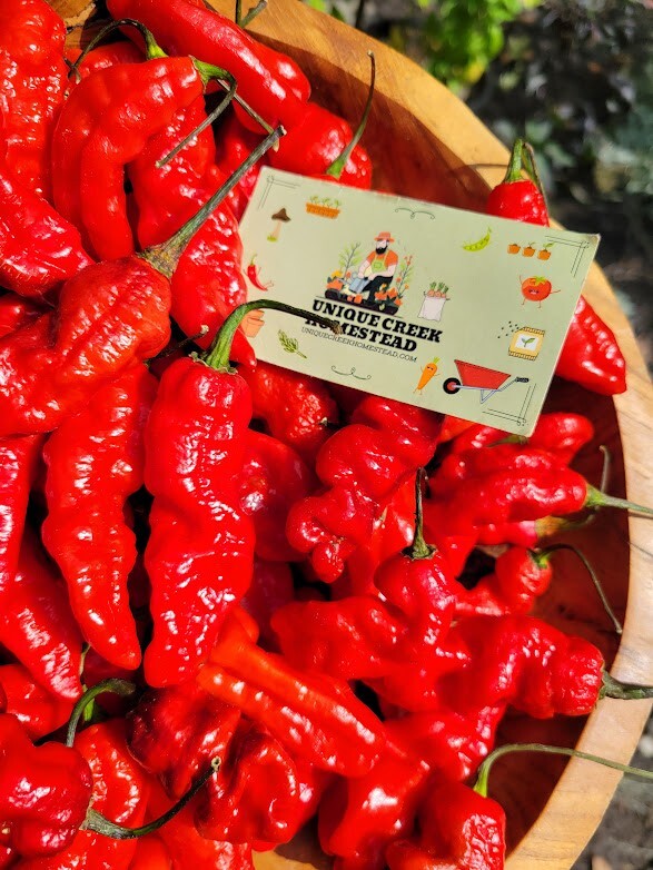 Leviathan Gnarly Scorpion Pepper 25 Seeds Red Chili Peppers 750,000+ Scoville