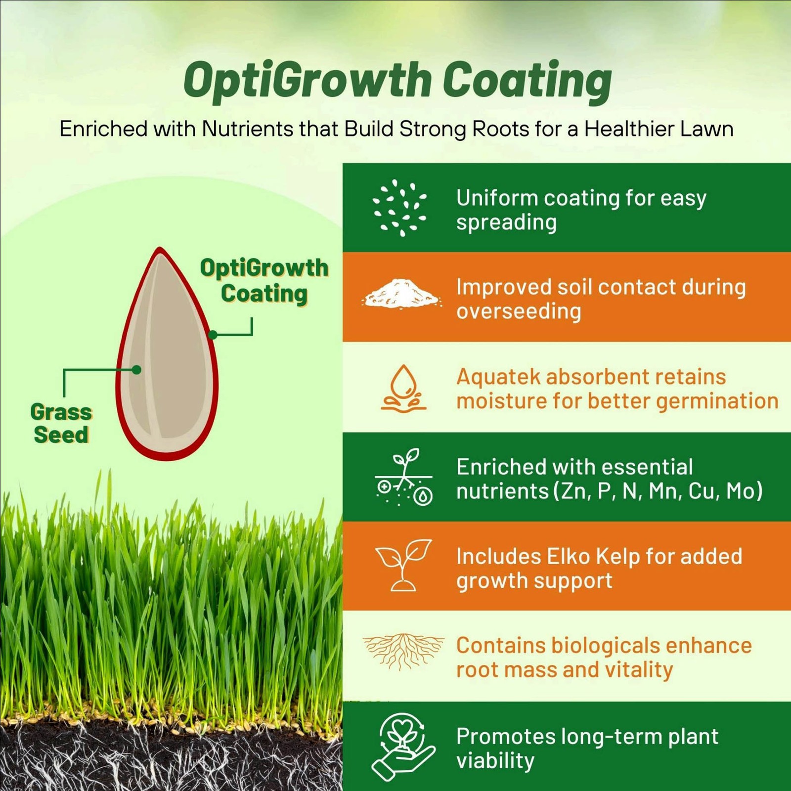 10 LBS – OptiGrowth Coated Sheeps Fine Fescue Xeriscaping Drought